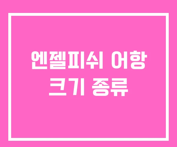 엔젤피쉬 어항 크기 종류
