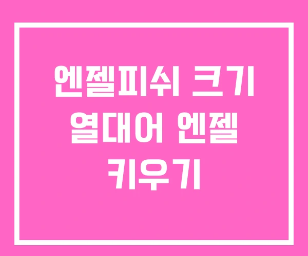 엔젤피쉬 크기 열대어 엔젤 키우기 엔젤피쉬 크기 열대어 엔젤 키우기