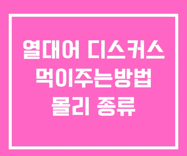 열대어 디스커스 먹이주는방법 몰리 종류 열대어 디스커스 먹이주는방법 몰리 종류