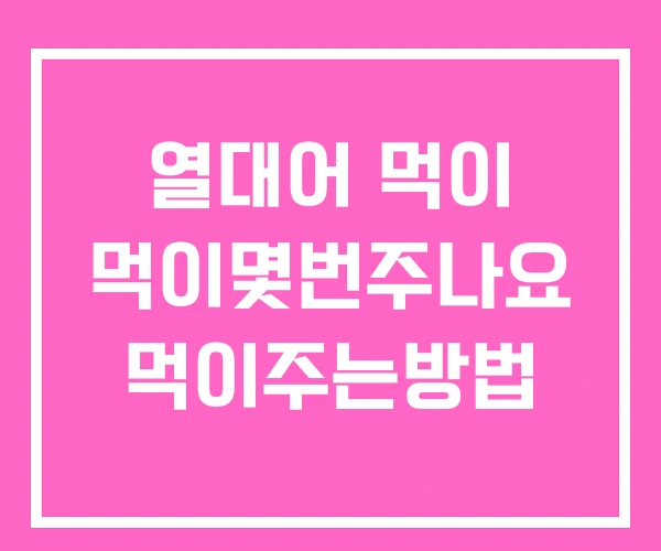 열대어 먹이 먹이몇번주나요 먹이주는방법