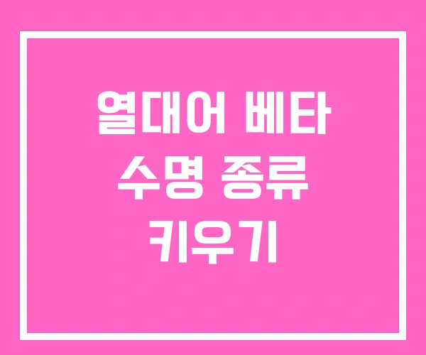 열대어 베타 수명 종류 키우기