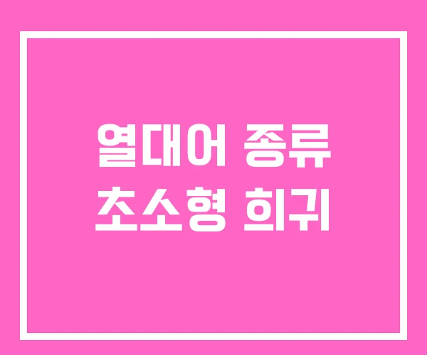 열대어 종류 초소형 희귀