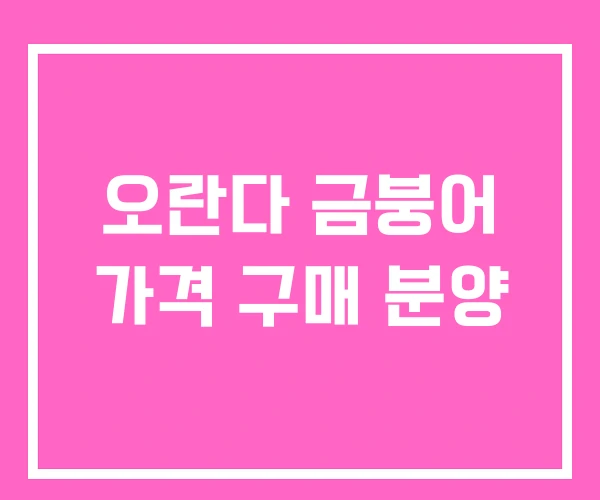 오란다 금붕어 가격 구매 분양