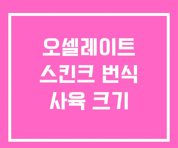 오셀레이트 스킨크 번식 사육 크기