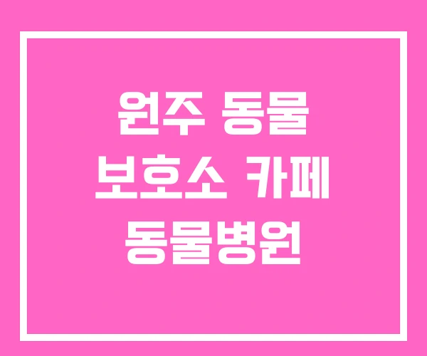 원주 동물 보호소 카페 동물병원