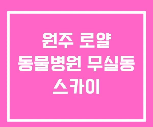 원주 로얄 동물병원 무실동 스카이