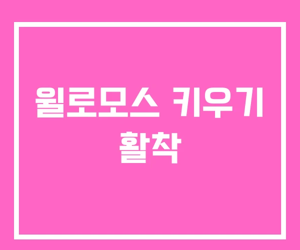 윌로모스 키우기 활착