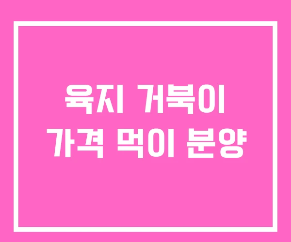 육지 거북이 가격 먹이 분양