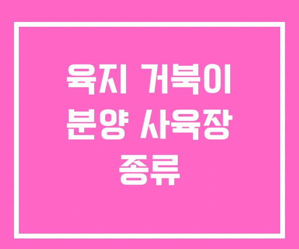 육지 거북이 분양 사육장 종류 육지 거북이 분양 사육장 종류