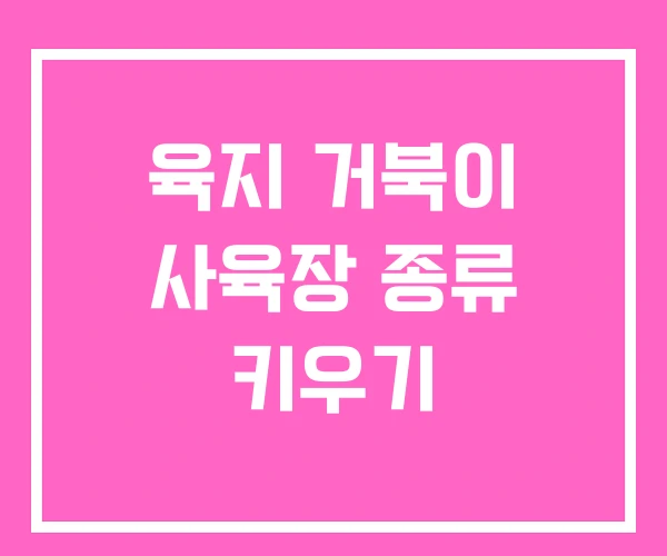 육지 거북이 사육장 종류 키우기