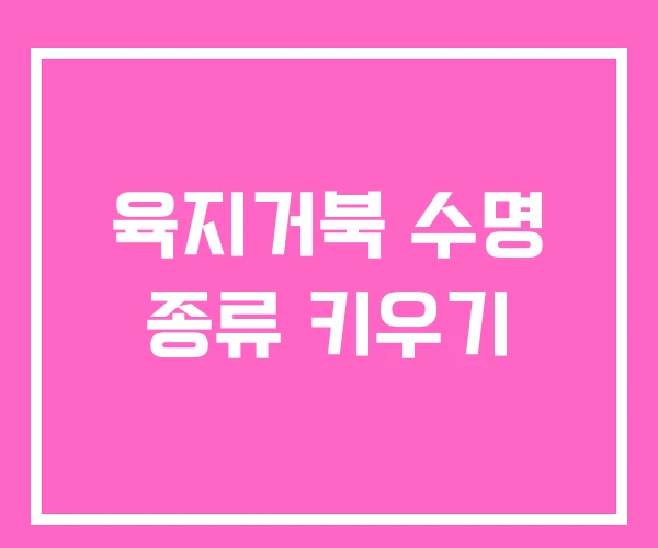 육지거북 수명 종류 키우기