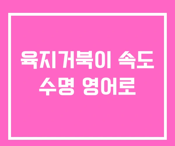 육지거북이 속도 수명 영어로