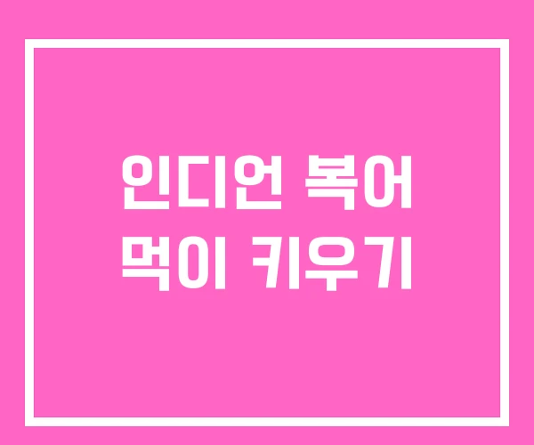 인디언 복어 먹이 키우기