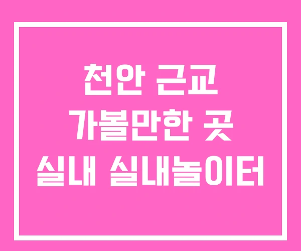 천안 근교 가볼만한 곳 실내 실내놀이터