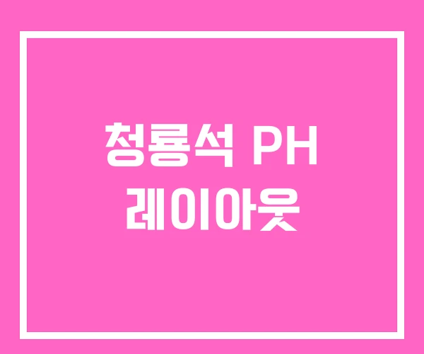 청룡석 PH 레이아웃