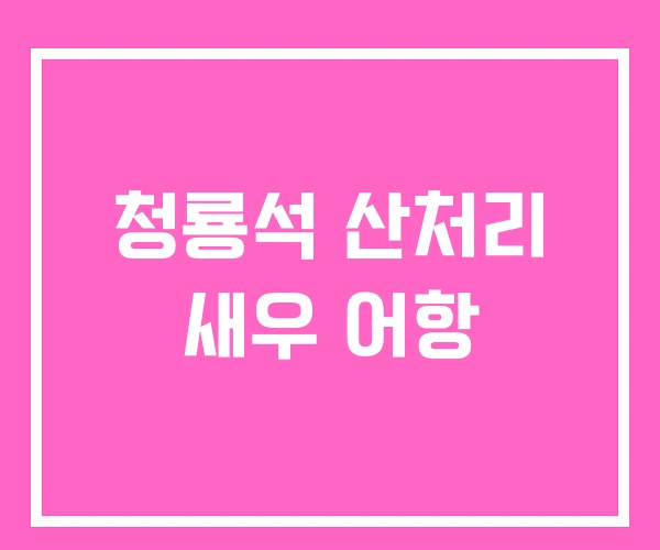 청룡석 산처리 새우 어항