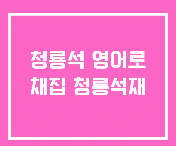 청룡석 영어로 채집 청룡석재