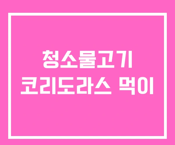 청소물고기 코리도라스 먹이