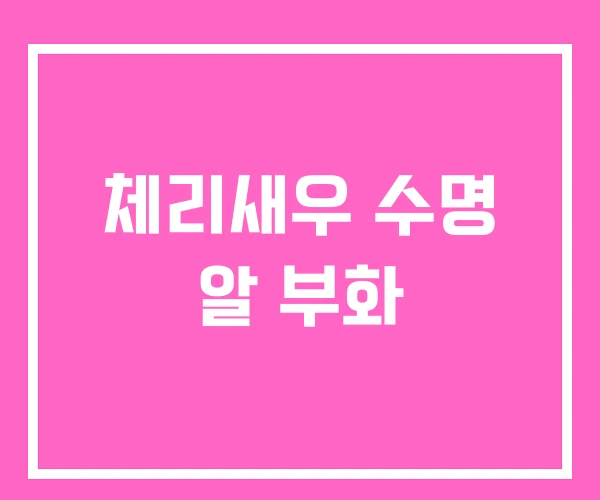 체리새우 수명 알 부화