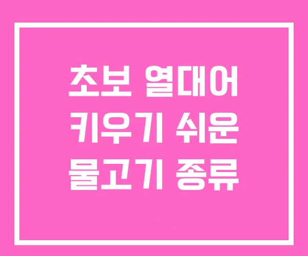 초보 열대어 키우기 쉬운 물고기 종류