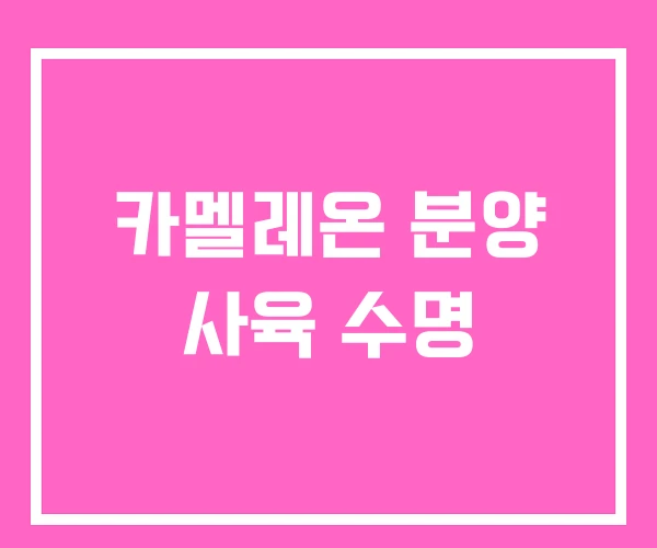 카멜레온 분양 사육 수명