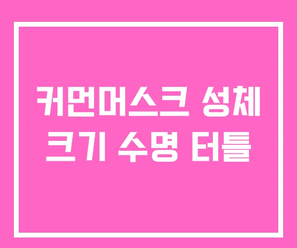 커먼머스크 성체 크기 수명 터틀