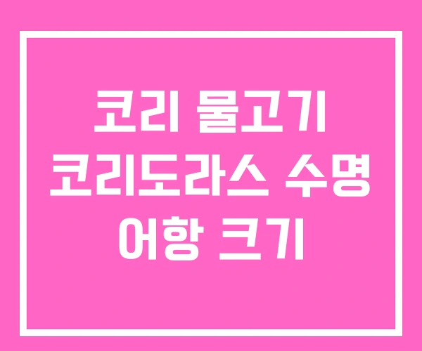 코리 물고기 코리도라스 수명 어항 크기