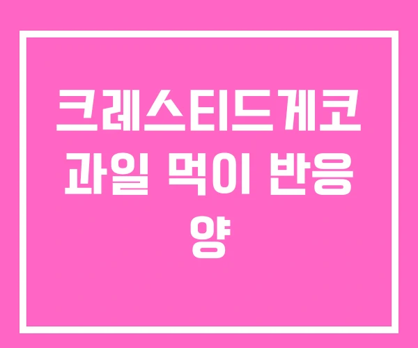 크레스티드게코 과일 먹이 반응 양