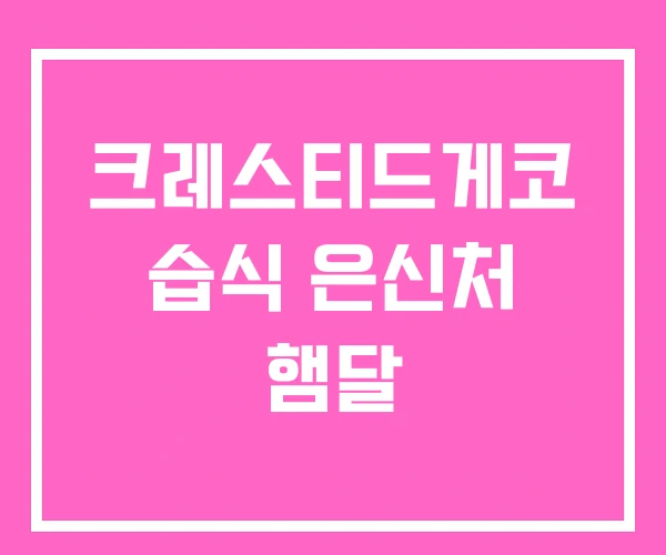 크레스티드게코 습식 은신처 햄달