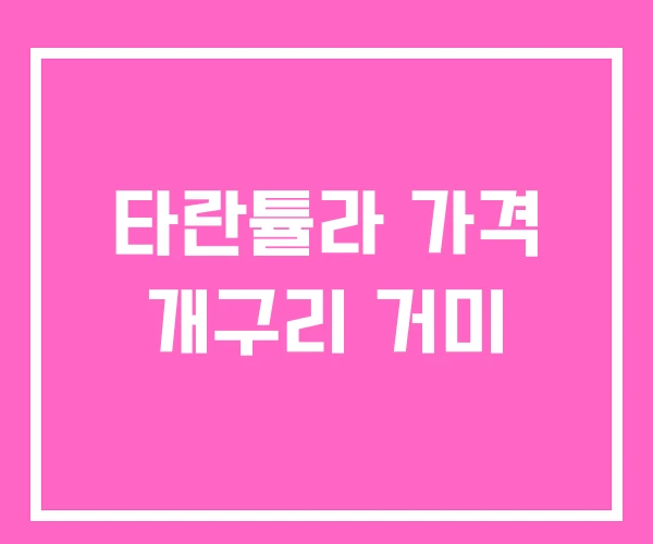 타란튤라 가격 개구리 거미