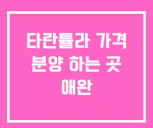 타란튤라 가격 분양 하는 곳 애완