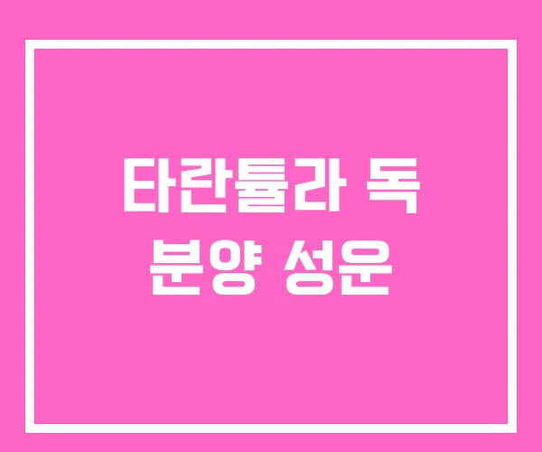 타란튤라 독 분양 성운