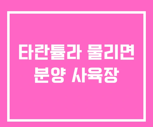 타란튤라 물리면 분양 사육장