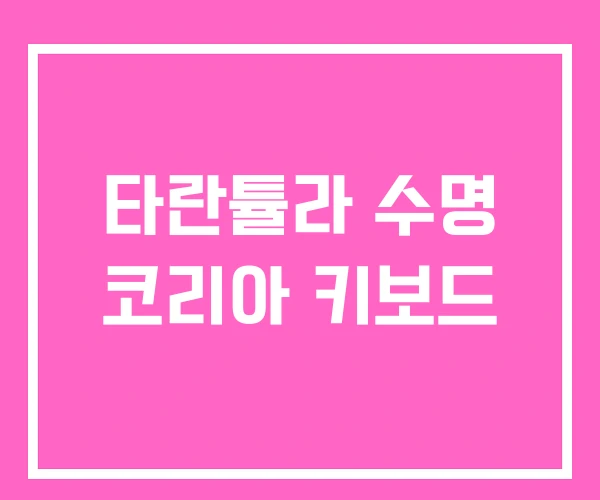 타란튤라 수명 코리아 키보드