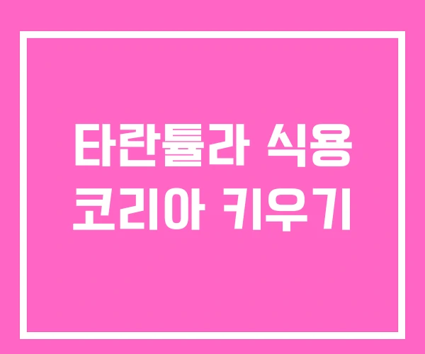 타란튤라 식용 코리아 키우기