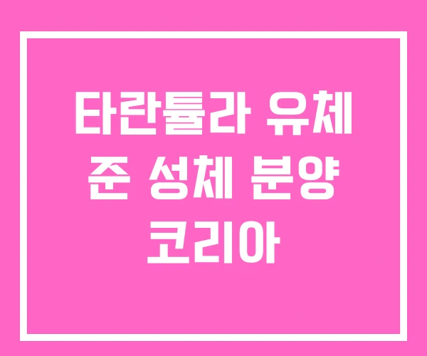 타란튤라 유체 준 성체 분양 코리아