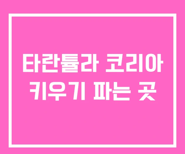 타란튤라 코리아 키우기 파는 곳