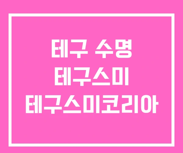 테구 수명 테구스미 테구스미코리아