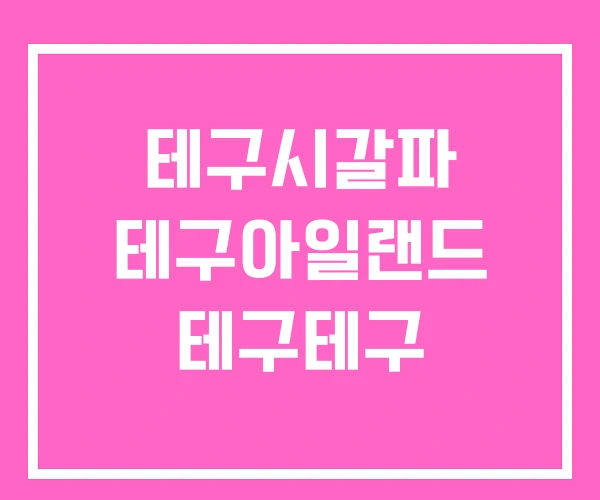 테구시갈파 테구아일랜드 테구테구