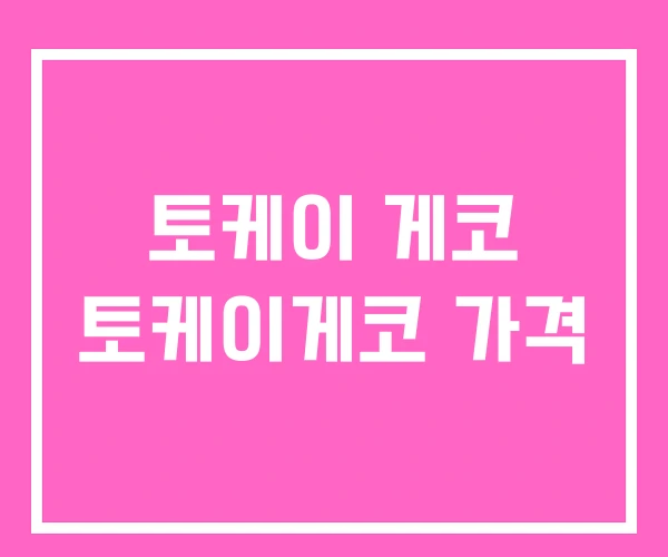 토케이 게코 토케이게코 가격 토케이 게코 토케이게코 가격