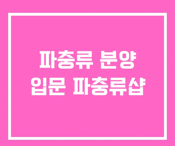 파충류 분양 입문 파충류샵 파충류 분양 입문 파충류샵