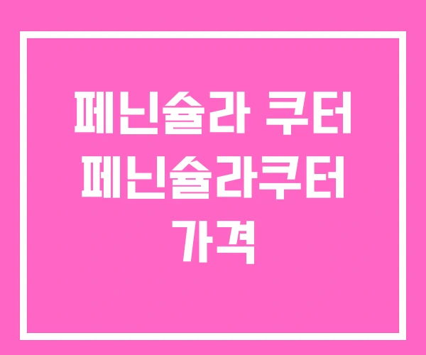 페닌슐라 쿠터 페닌슐라쿠터 가격