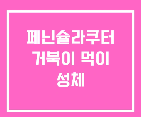 페닌슐라쿠터 거북이 먹이 성체 페닌슐라쿠터 거북이 먹이 성체