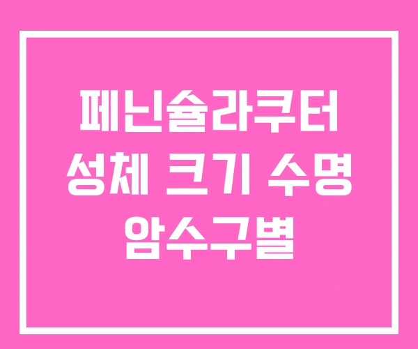 페닌슐라쿠터 성체 크기 수명 암수구별 페닌슐라쿠터 성체 크기 수명 암수구별