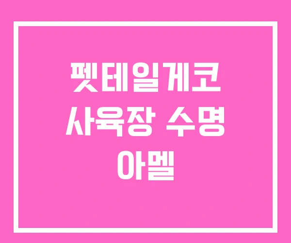 펫테일게코 사육장 수명 아멜 펫테일게코 사육장 수명 아멜