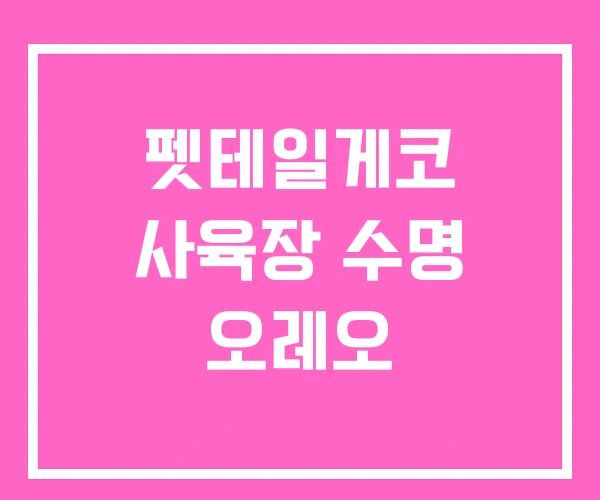 펫테일게코 사육장 수명 오레오 펫테일게코 사육장 수명 오레오