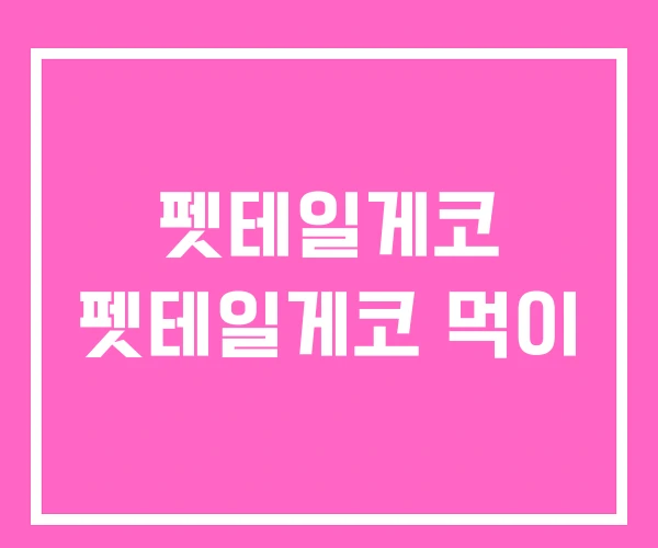 펫테일게코 펫테일게코 먹이 펫테일게코 펫테일게코 먹이