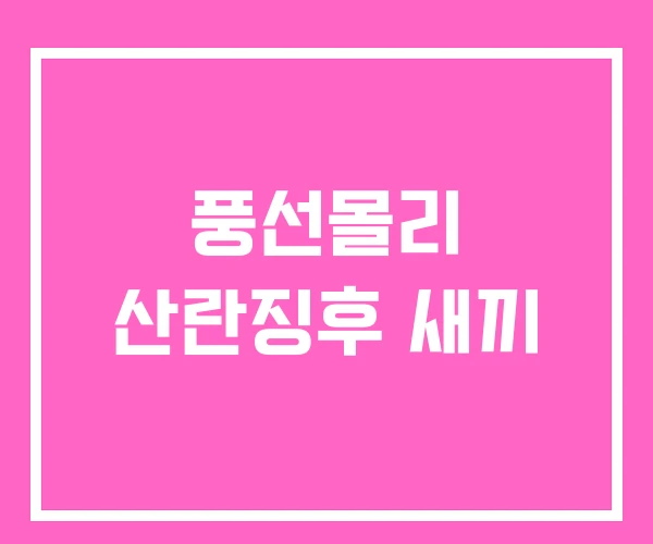 풍선몰리 산란징후 새끼