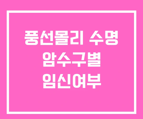 풍선몰리 수명 암수구별 임신여부