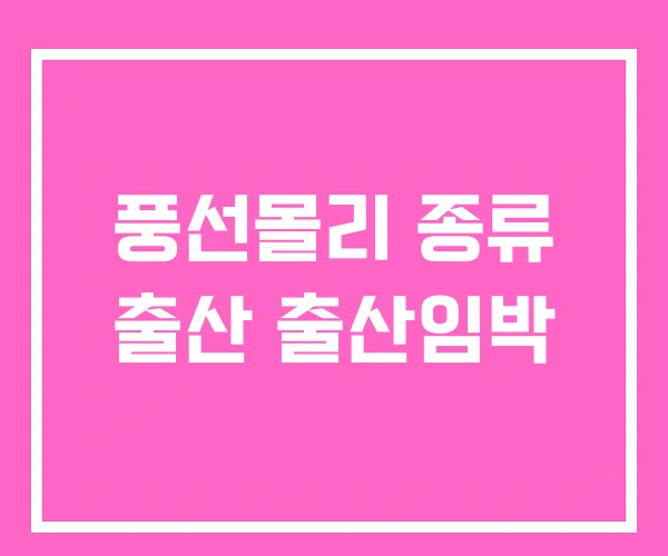 풍선몰리 종류 출산 출산임박